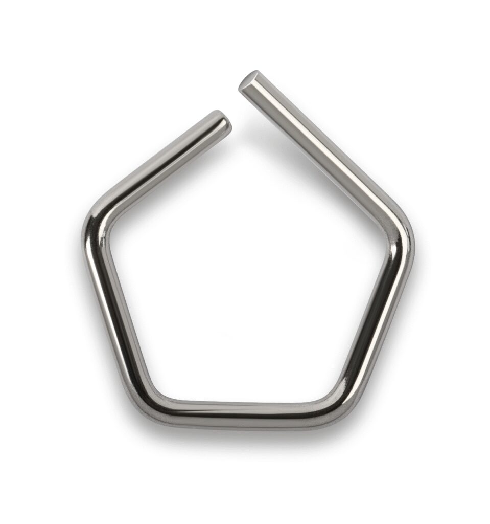 משקולת ביקורת 318-33 (OIML Class E2