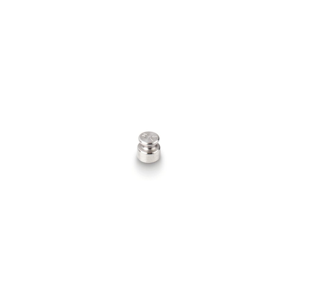 משקולת ביקורת 347-01 (OIML Class M1