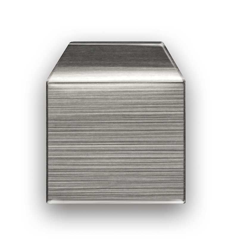 משקולת ביקורת 348-02 (OIML Class M1