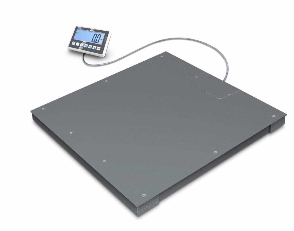 Floor scale BFC 1.5T-4SM