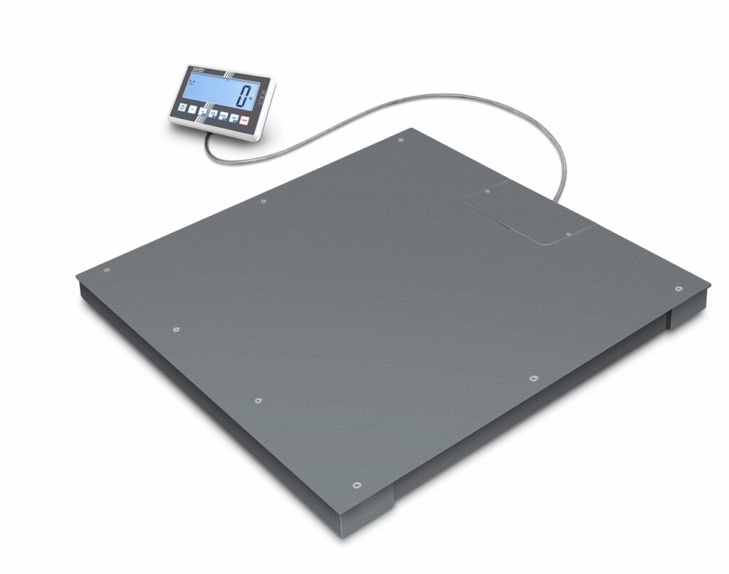 Floor scale BFC 3T-3M