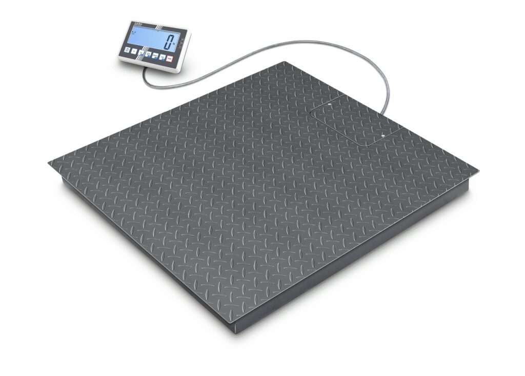 Floor scale BFC 6T-3M