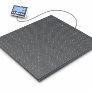 Floor scale BFC 6T-3M
