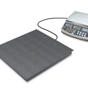 Counting system CCS 600K-1S