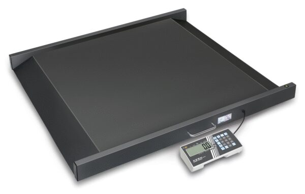 משקל משטח לכסא גלגלים KERN MWS 300K100M